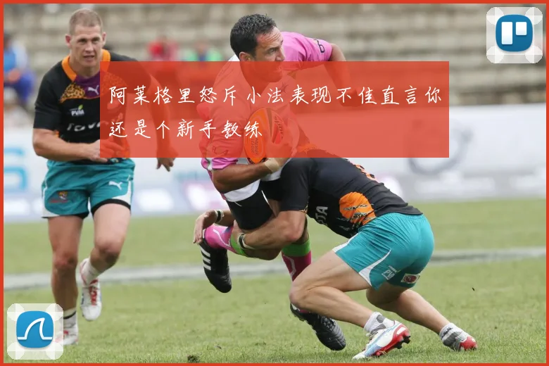 阿莱格里怒斥小法表现不佳直言你还是个新手教练